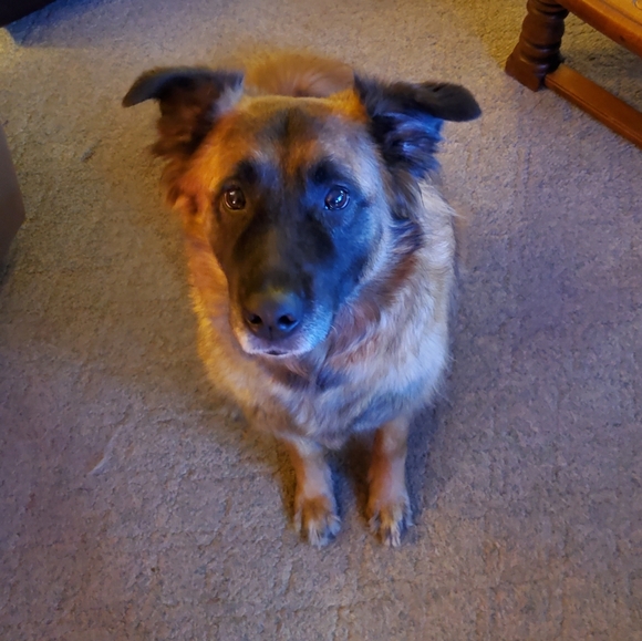 Meet your Posher, Norma - Picture 4 of 5